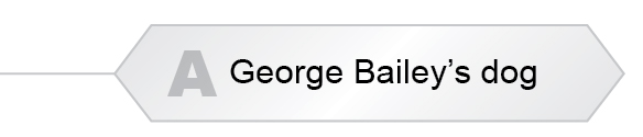 The Answer Is A - George Bailey's dog