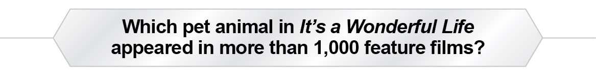 The Question Is - Which pet animal in It's a Wonderful Life appeared in more than 1,000 feature films?
