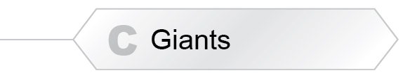 The Answer Is C - Giants